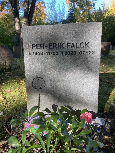 Hautatunnus: 1 H   161