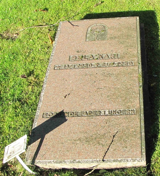 Grave number: HG MÅSEN   596