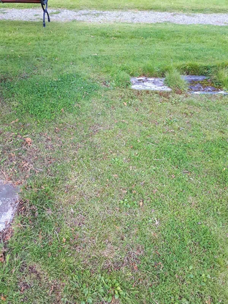 Gravnummer: NK A A   161