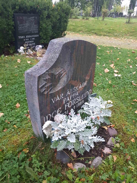 Gravnummer: GK U 4   200