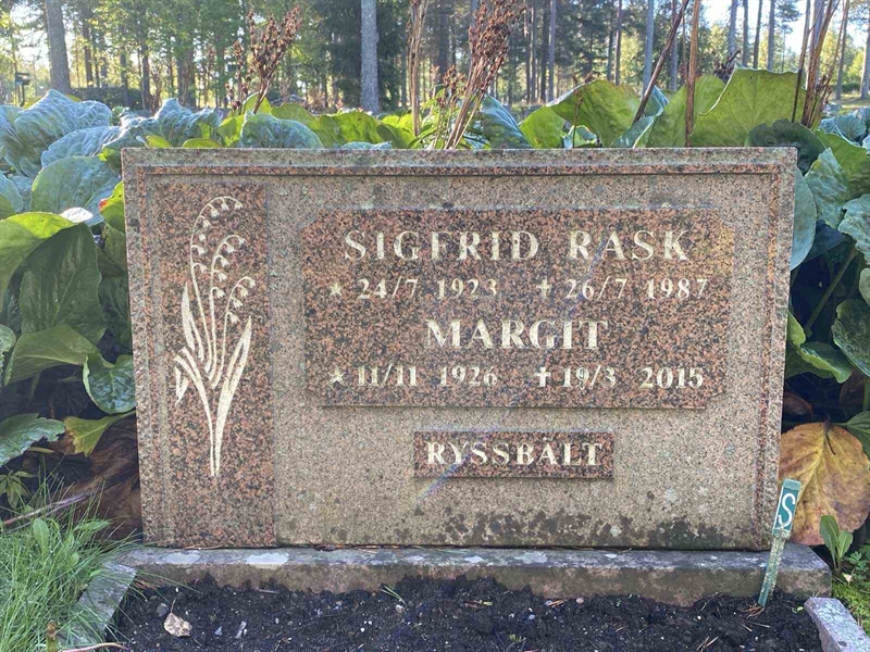 Grave number: 3 11 120