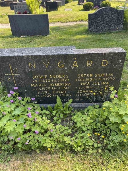 Hautatunnus: N 5 2   205