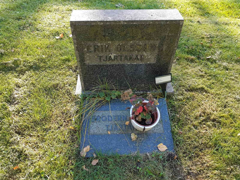 Grave number: Fr 7   117