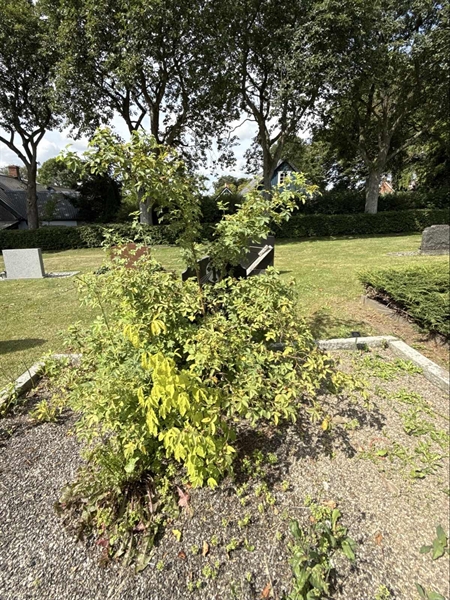 Grave number: ON D   196, 197
