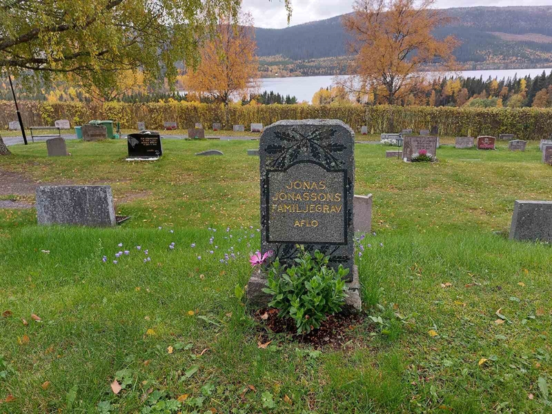 Hautatunnus: NY H 62