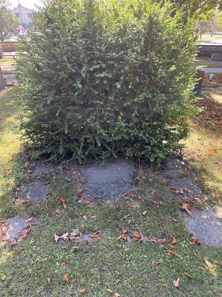 Grave number: Ö 01    35.A-B