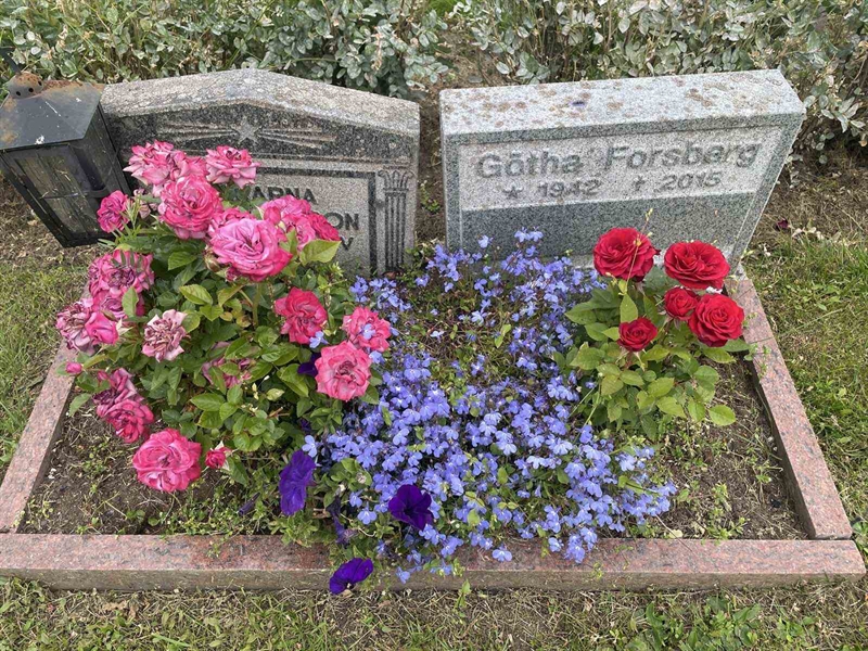 Grave number: 001 1   376
