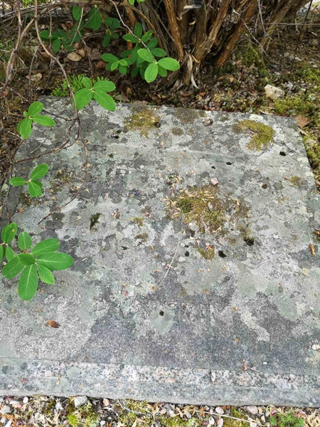 Hautatunnus: SK V     1