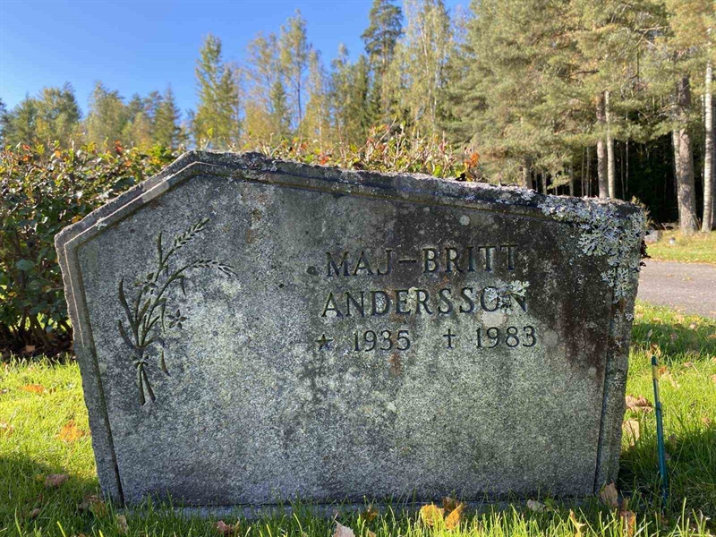 Grave number: 1 22     17