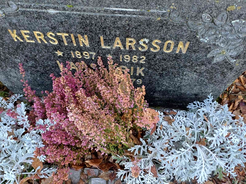 Grave number: JÄ 3 7396, 7397