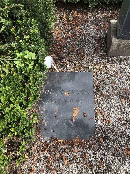 Grave number: TK G   204