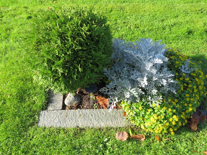 Grave number: 1 09   55
