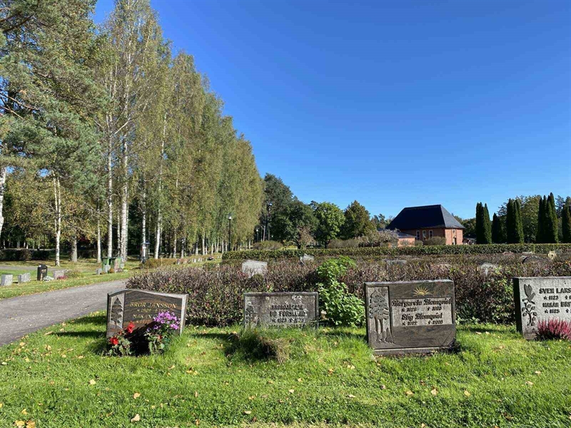 Grave number: 1 22     89