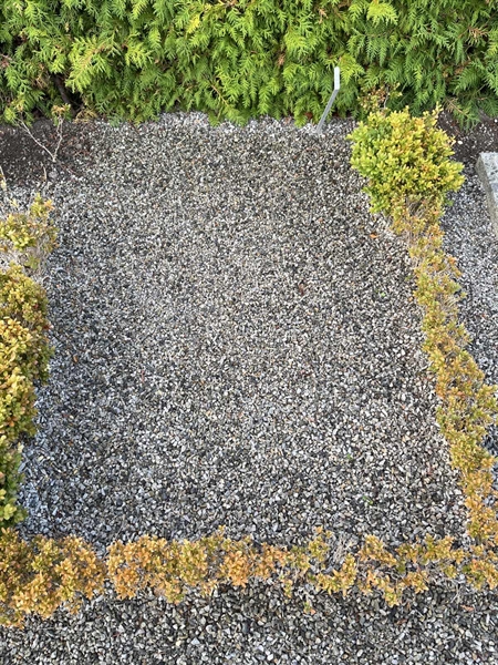 Grave number: NK Urn i     2