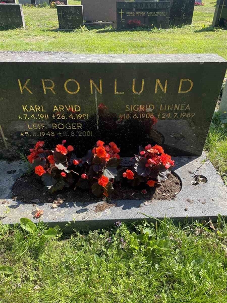 Grave number: N 5 2 287