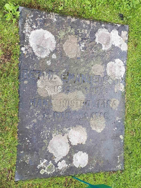 Gravnummer: NK F G   113