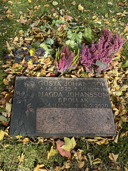 Gravnummer: 1 H   206