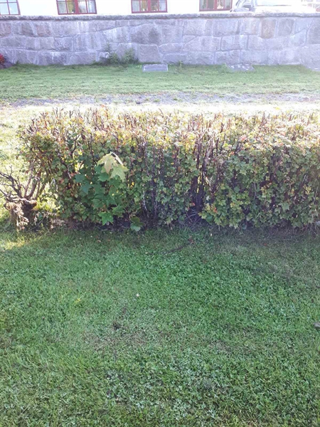 Gravnummer: NK F G   204