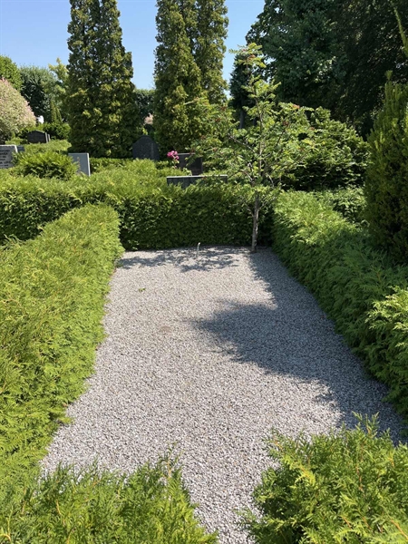 Grave number: NK VII    19