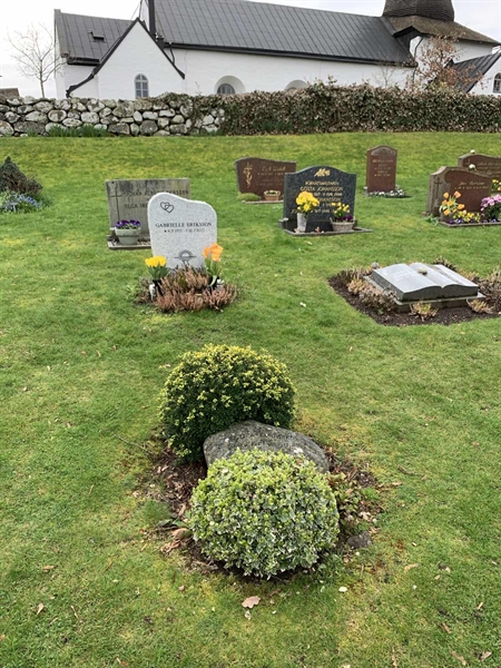 Grave number: SÖ N    91