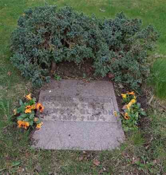 Grave number: SN HU    34