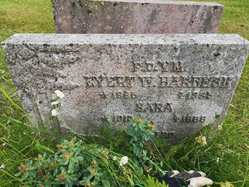 Hautatunnus: PK   291