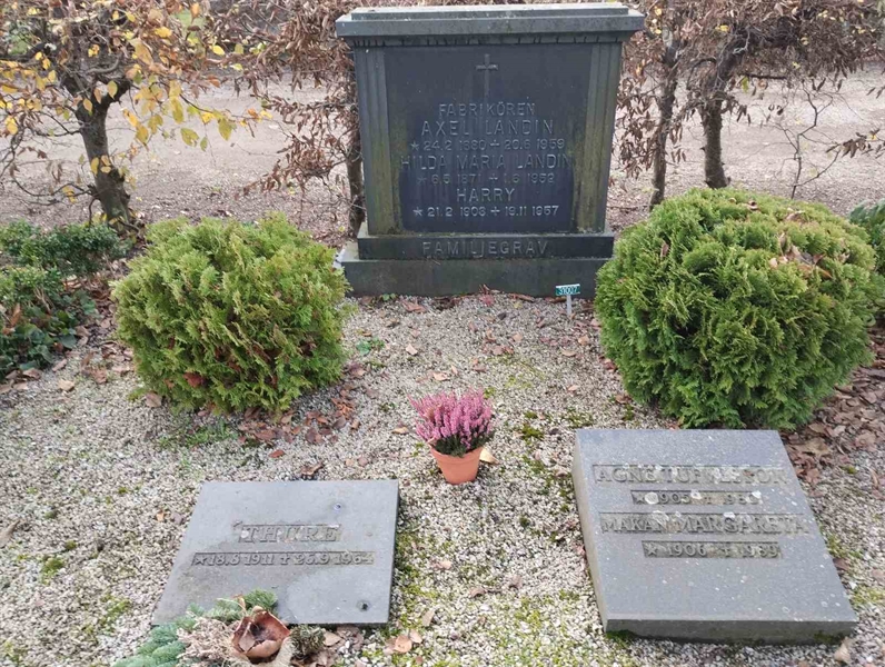 Grave number: Ö 31y     7a, 7b, 7c