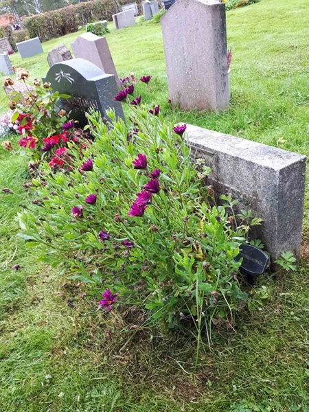 Gravnummer: NK F B  1016