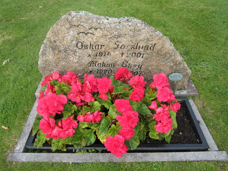 Grave number: 2 AF    60-61