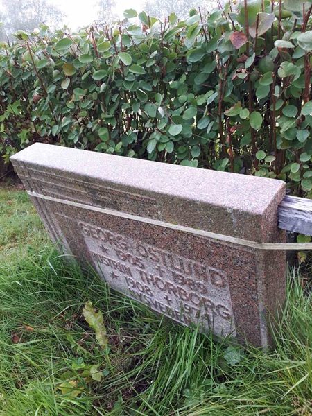 Hautatunnus: NK F B   211B