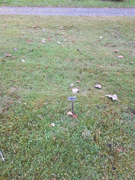 Hautatunnus: GK U 1    75