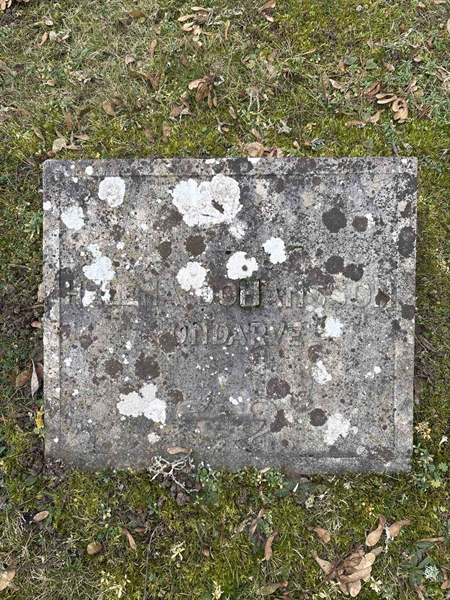 Gravnummer: LE   440