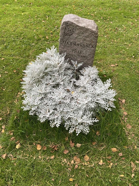 Hautatunnus: 2 C   315-316