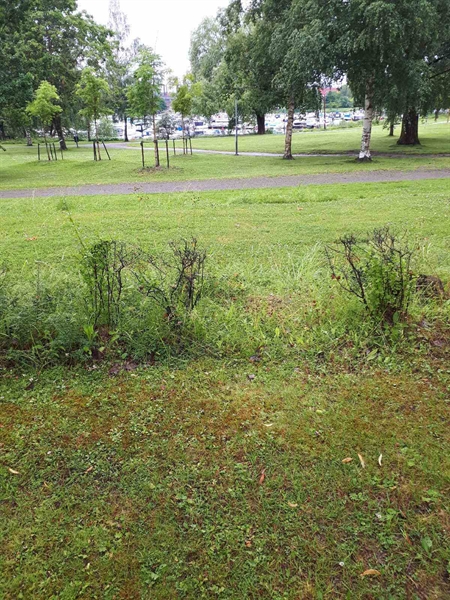 Gravnummer: GK F 5   563