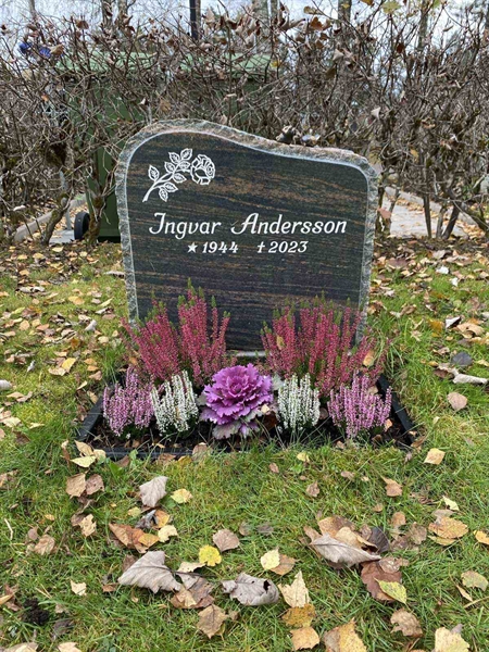 Grave number: 1 29     75