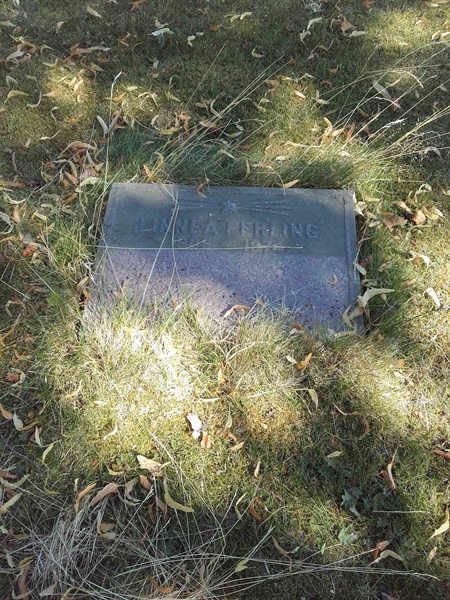 Grave number: NO 08   124
