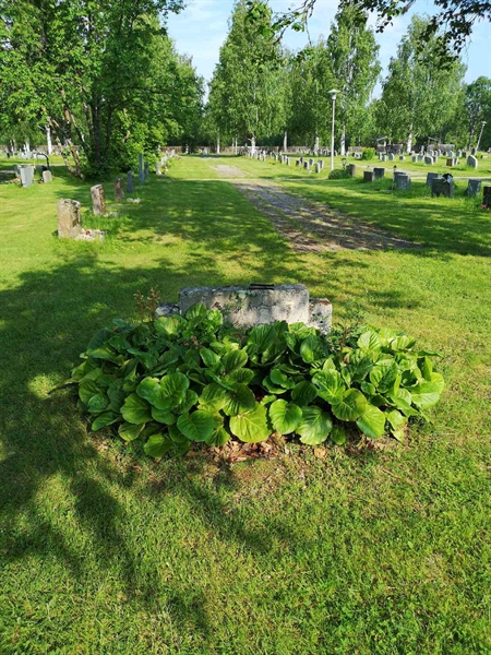 Hautatunnus: NK 03    58