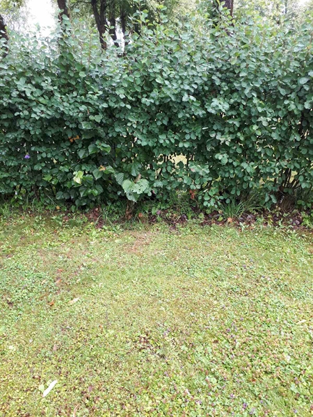 Gravnummer: GK F 5   564