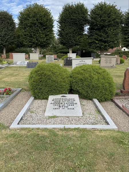 Grave number: ON C   262