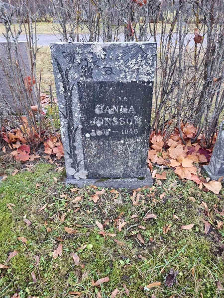 Grave number: 1 20  285