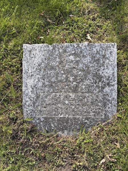 Hautatunnus: H 019 021-21