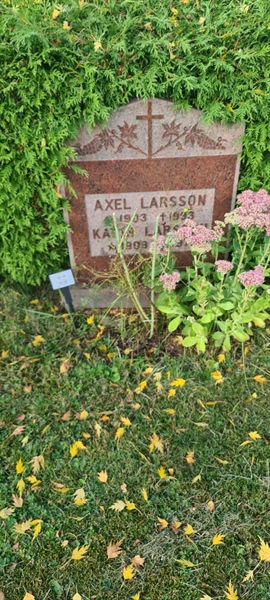 Grave number: M H   35, 36