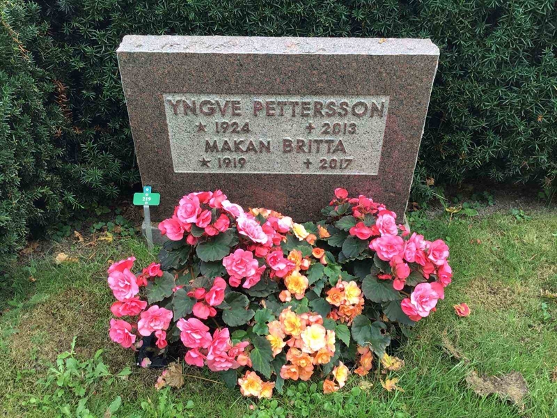 Hautatunnus: Kaga ny   219