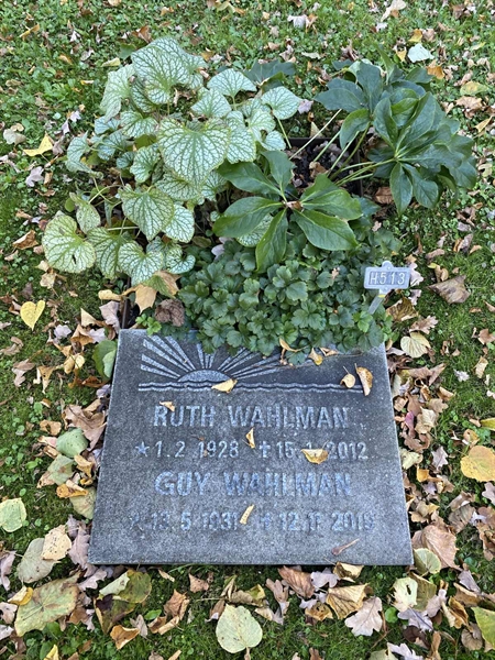 Hautatunnus: 1 H   513