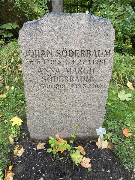 Hautatunnus: 1 H    94