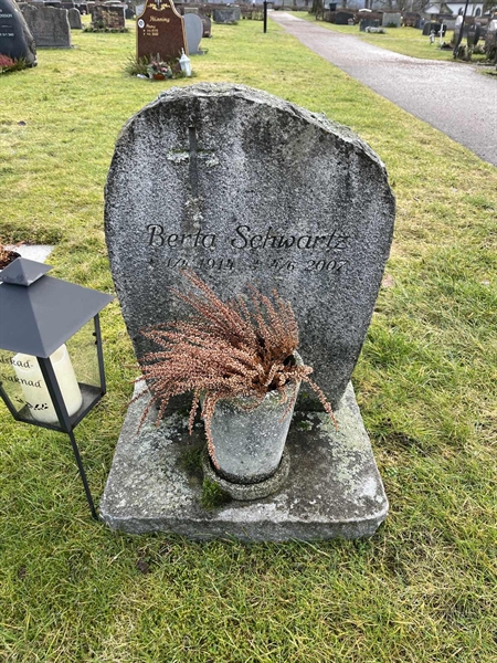 Grave number: Ärt 96 36 38