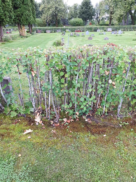 Gravnummer: NK F A   203