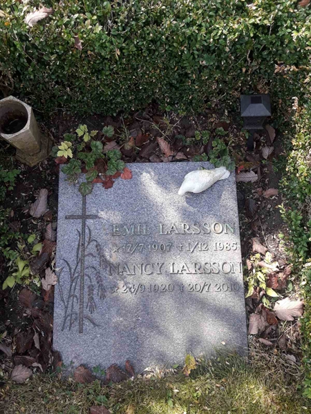 Grave number: TÖ 2    54