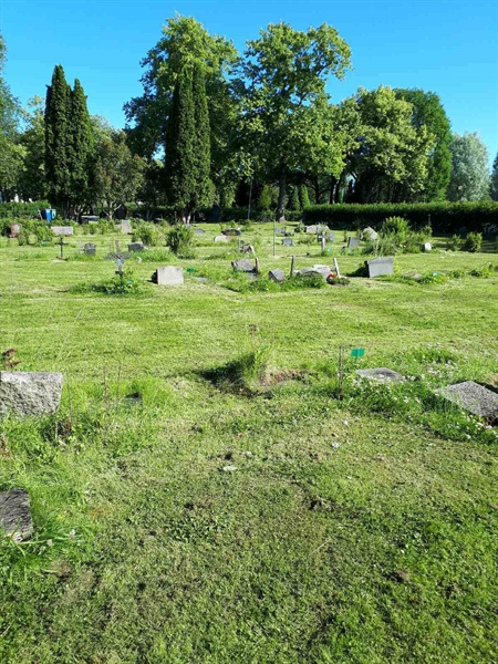 Grave number: GK A 5   141M