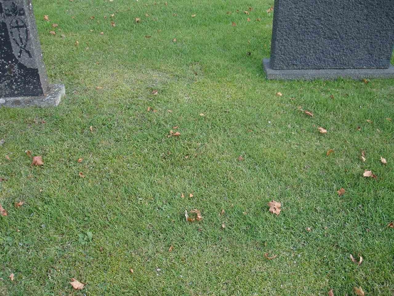 Grave number: FN Y     3